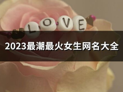 2023最火的网名,潮流风向标下的个性宣言