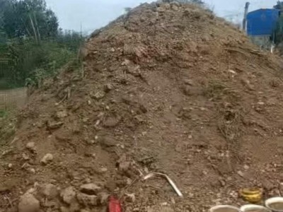 河南一公职人员在他人农田里修坟？方城县多方回应