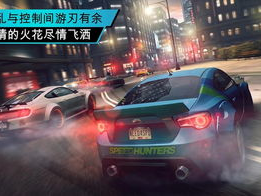 极品飞车,极品飞车传奇