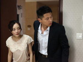 金太狼的幸福生活电视剧,揭秘现代家庭温馨秘籍