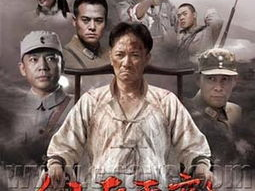 仁者无敌全集在线观看,探寻智慧与勇气的传奇之旅