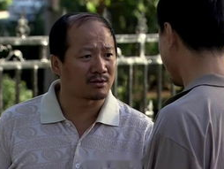 乡村爱情6部全集播放,续写田园梦，全集播放见证乡村变迁