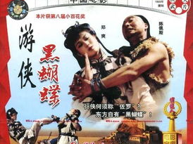 电影游侠黑蝴蝶,江湖恩怨，剑指天涯