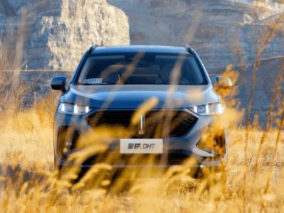 魏牌拿铁售价及图片,豪华SUV新选择，售价亲民，外观惊艳！”