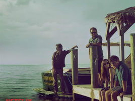 至亲血统1 电视剧,揭秘家族秘密，探寻血缘之谜