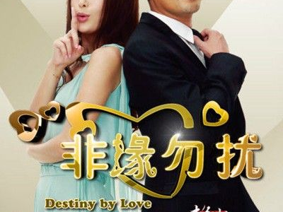 非缘勿扰电视剧,缘起缘灭的情感纠葛