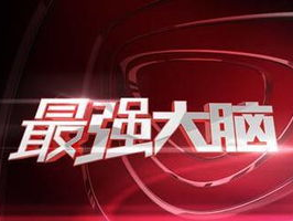 最强大脑辨色游戏,最强大脑辨色游戏揭秘