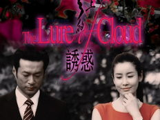 云上的诱惑 优酷,优酷引领网络视频新潮流