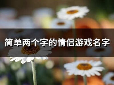 游戏名字简单干净情侣2字,情侣二字的浪漫演绎