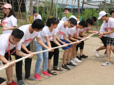 拓展游戏,拓展游戏带来的无限乐趣与挑战