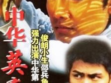 中华英豪 电视剧,烽火岁月里的民族脊梁