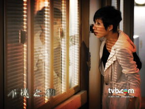 不速之约 电视剧,错综复杂的情感纠葛