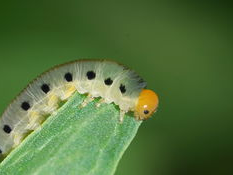 xiao2,xiao2的无限可能之旅