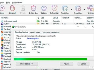 internet download manager,Internet Download Manager使用指南