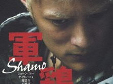 军鸡在线观看,揭秘特种部队的传奇故事