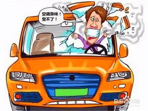 如何去除汽车异味,汽车异味速效去除攻略