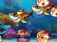 大鱼吃小鱼,大鱼吃小鱼的自然法则