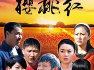 樱桃红电视剧全集38,悬念揭晓，命运转折点