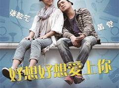 好想好想爱上你电视剧,浪漫邂逅，谱写甜蜜爱情篇章