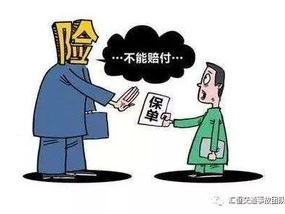 汽车保险理赔案例,从事故处理到顺利获赔的全程解析