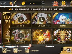 定制游戏,定制游戏带你踏上奇幻冒险之旅