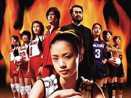 电视剧排球女将,梦想与拼搏的青春传奇