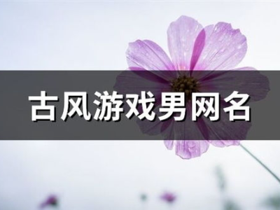 游戏网名男生专用,网名中的热血少年