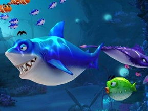 2025最火的网络游戏,引领潮流的虚拟世界探险之旅