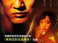 电视剧跨国追逃,正义之战，跨境追踪