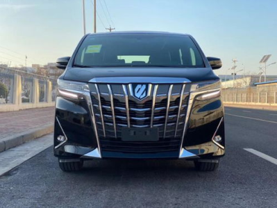 爱尔法,揭秘神秘生物的传奇故事