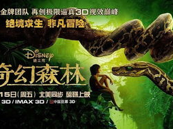 奇幻森林电影免费观看,免费观影之旅，探索神秘森林的奇幻冒险