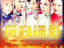 电视剧深宫谍影全集,宫廷权谋与爱恨情仇的纠葛