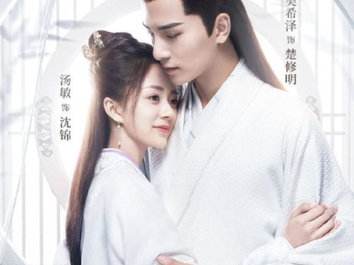 将军家的小娘子在线观看,穿越时空的甜蜜邂逅