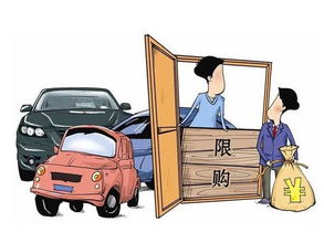 深圳汽车限购政策,如何应对购车新规