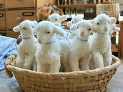 好听稀少的游戏id,好听稀少游戏ID背后的传奇故事