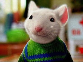 精灵鼠小弟1国语,萌鼠奇遇记，友谊与勇气的奇幻之旅