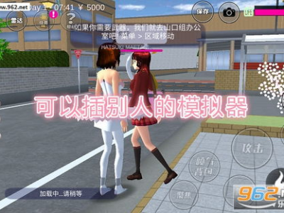 模拟器可插角色,探索可插角色的无限魅力