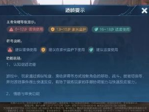 游戏工委适龄提示,守护青少年健康成长