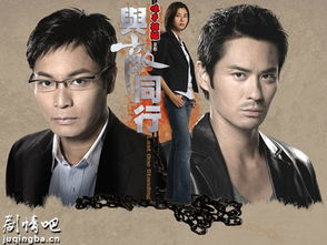 与敌同行 电视剧,谍影重重，生死较量