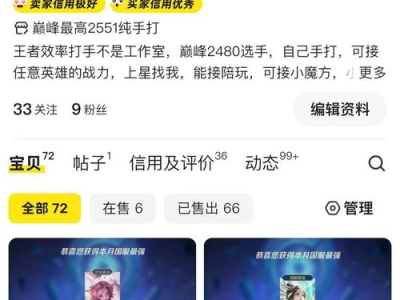 游戏陪玩怎么弄的,揭秘游戏陪玩行业的操作指南