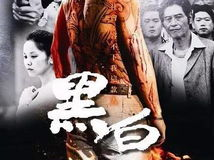 台湾电影黑白,台湾电影的记忆与变迁